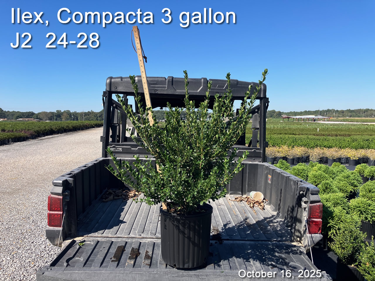 gallery/comp3 j2 oct16.jpg